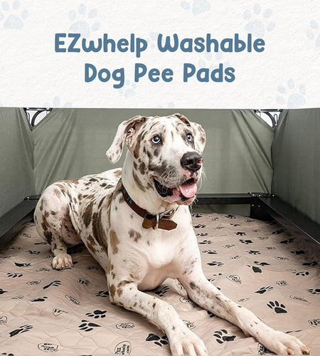 Reusable Dog Pee Pads for Dogs - Waterproof Potty Training Pee Pad - Washable Dog Training Pads W/ Rounded Corners Puppy Pad - Lightweight & Laminated Whelping Pad Dog Mat Pet Supplies - 2 Pk